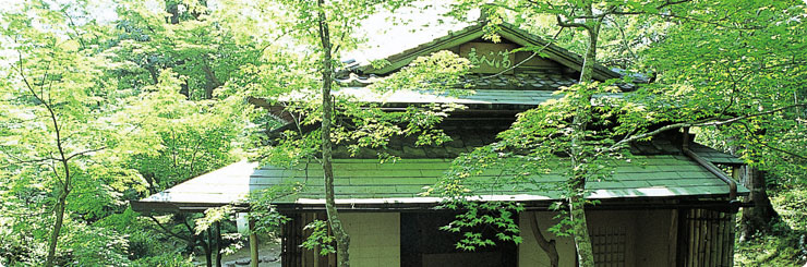 Early Summer in Kansai Seminer House